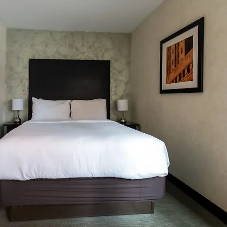 Solita Soho 3*