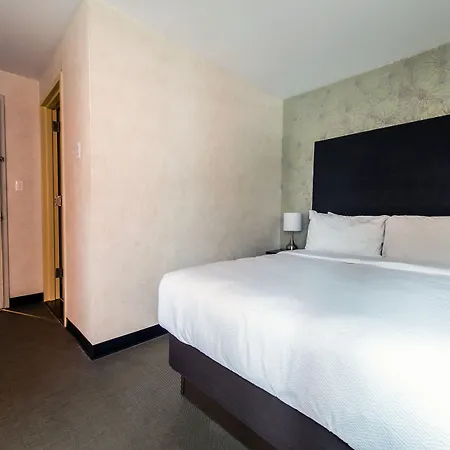 Solita Soho 3*