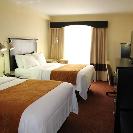 Comfort & Laguardia Airport