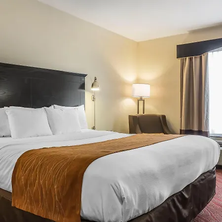 Comfort & Laguardia Airport New York