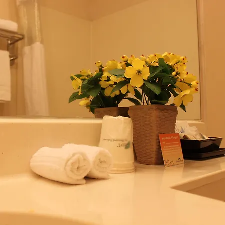 Hotel Flushing 88 New York