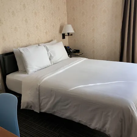 Mimosa Hotel