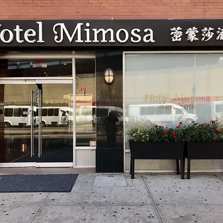 Mimosa Hotel New York