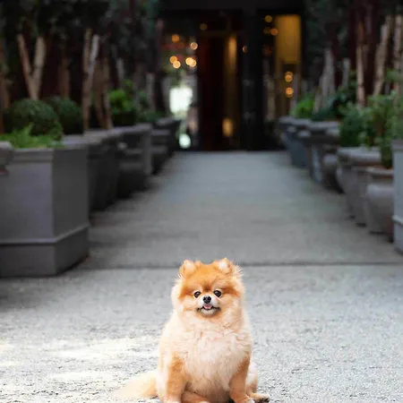 Hotel Nomo Soho