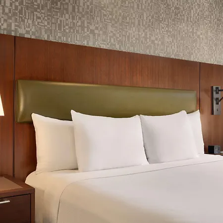 Hotel Doubletree By Hilton Downtown