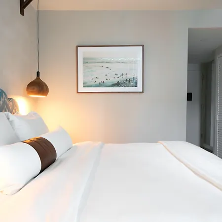 Hotel Coda Williamsburg