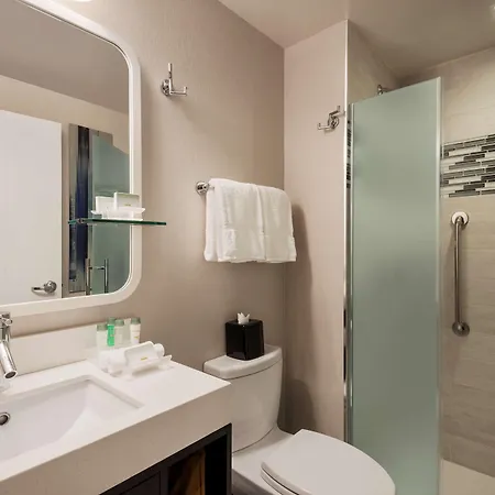 Homewood Midtown Manhattan Times Square South Hotel 3*