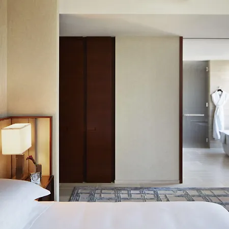 Hotel Park Hyatt New York