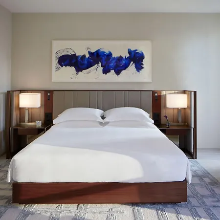 Hotel Park Hyatt