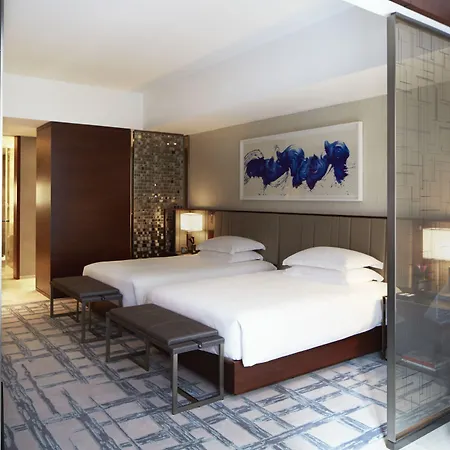Hotel Park Hyatt New York