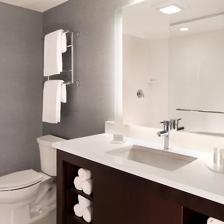 Hotel By Marriott The Bronx At Metro Center Atrium 3*