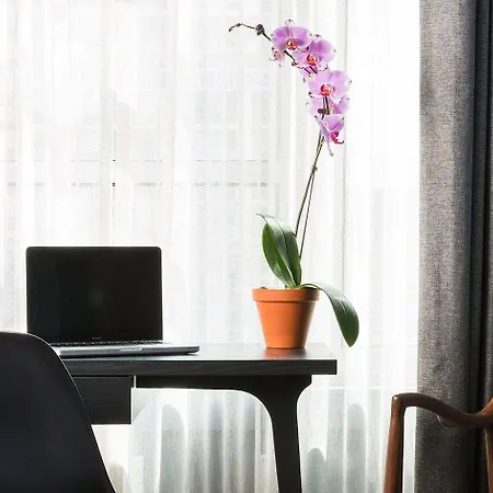 The Tillary Brooklyn 4* New York