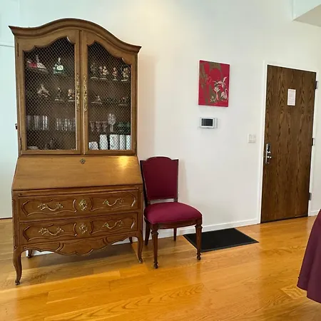 Apartment Large And Luxurious In Strivers Row *
