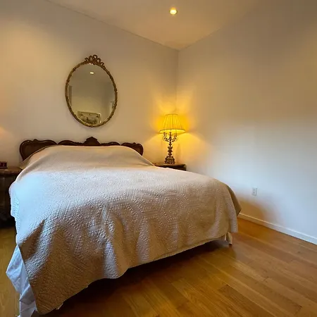 Apartment Large And Luxurious In Strivers Row *