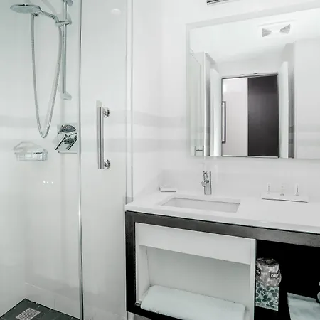 Hotel Courtyard By Marriott Long Island City/new York Manhattan View 3*