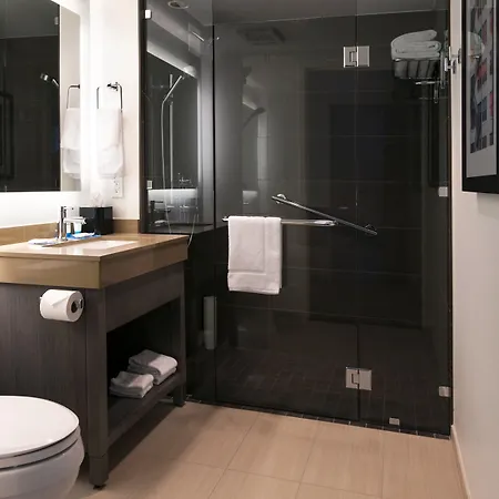 Hyatt House New York/chelsea 3* New York