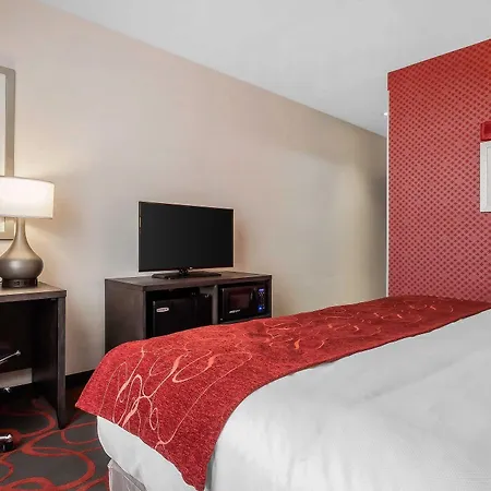 Hotel Comfort & Near Stadium 4*