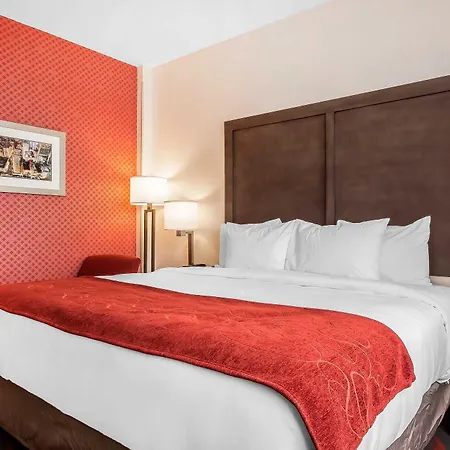 Hotel Comfort & Near Stadium