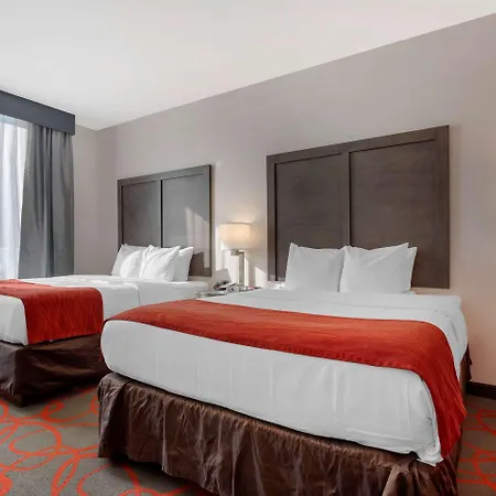 Hotel Comfort & Near Stadium