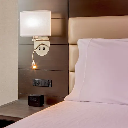 Hilton Garden Nyc Financial Center/manhattan Downtown New York