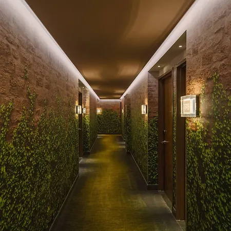 Renaissance Chelsea