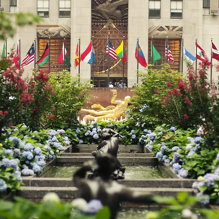 Renaissance Chelsea