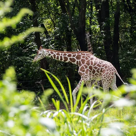 Hotel Express & Bronx - Zoo Area By Ihg