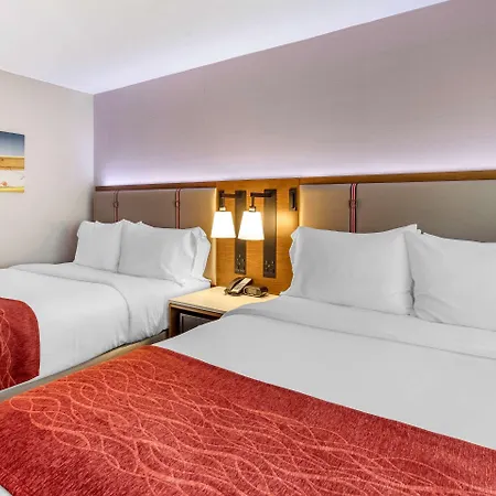 Comfort Jfk Airport Inn New York