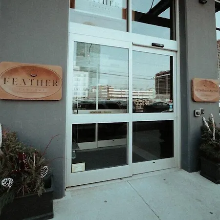 Feather Factory New York