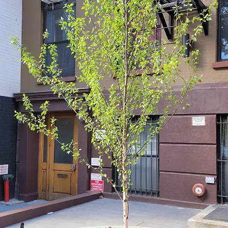 Lamartine Chelsea Hostel