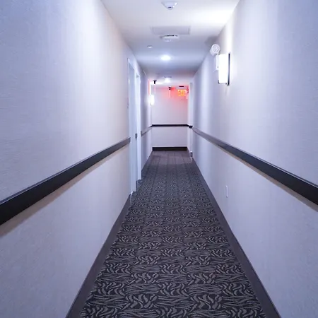 Mint Jfk Airport Hotel New York