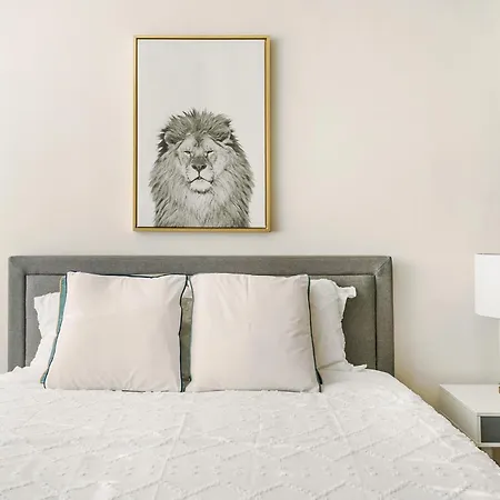 Lovely And Comfy In Nyc New York