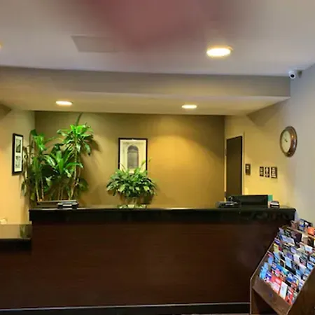 Cresthaven Jamaica-jfk Hotel