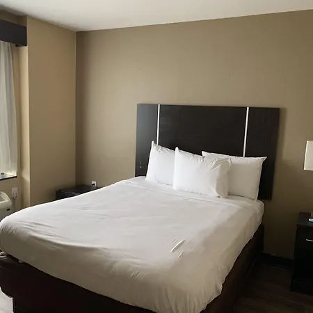 Hotel Pitkin New York