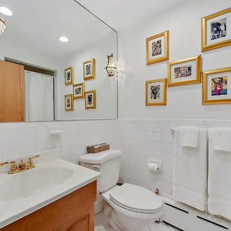 Harlem Gem Apartment New York