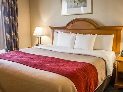 Hotel Comfort Jfk Airport 2*
