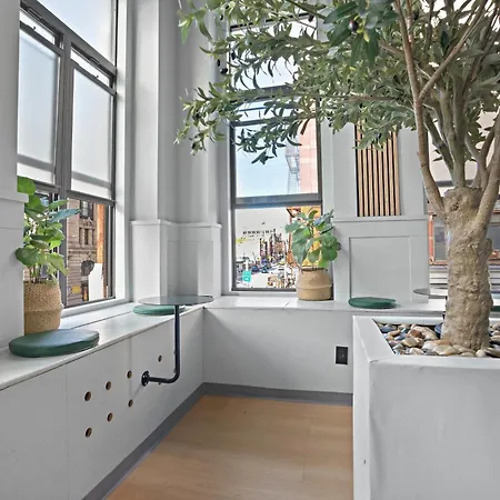 Citynest New York