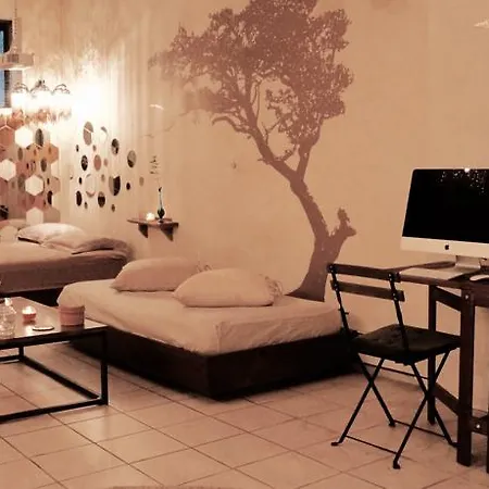 Apartment 2 Open Loft With Private Backyard *