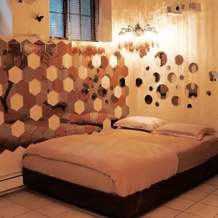 2 Open Loft With Private Backyard Apartment *