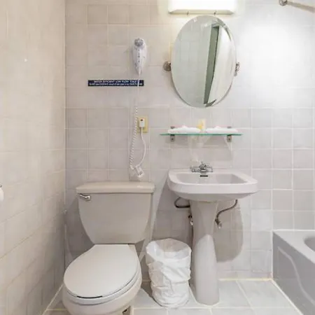 Apartment 3br In Big Apple *