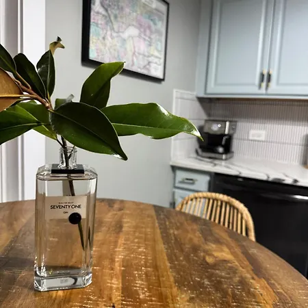 Staten Luxe, Modern Close To Nj, Nyc And Brooklyn! Holiday home New York