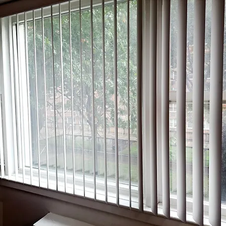 Apartment Piece Of Mind In Harlem