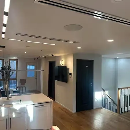 Beautiful Gowanus Townhome Apartment New York