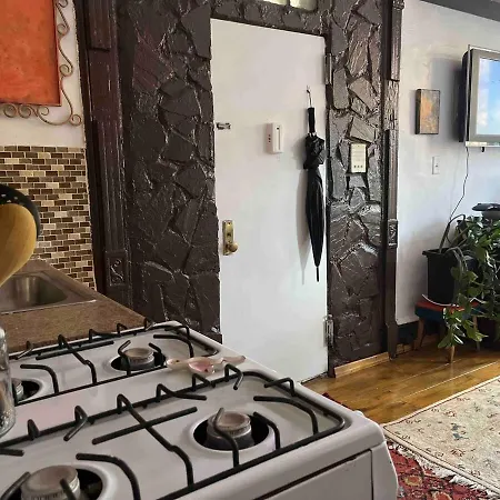 Apartment Unique Brooklyn Brownstone Bedstuy *