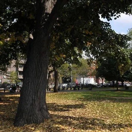 Brooklyn Beautiful * New York