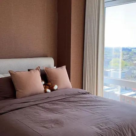 Luxury In Brooklyn Apartment