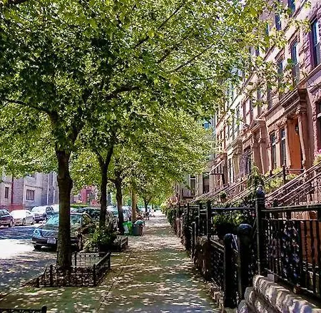 Brooklyn Beautiful *