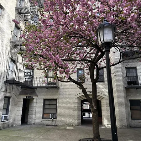 Entire Astoria 1-bedroom Apartment New York