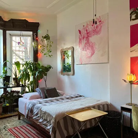 Unique Brooklyn Brownstone Bedstuy * New York