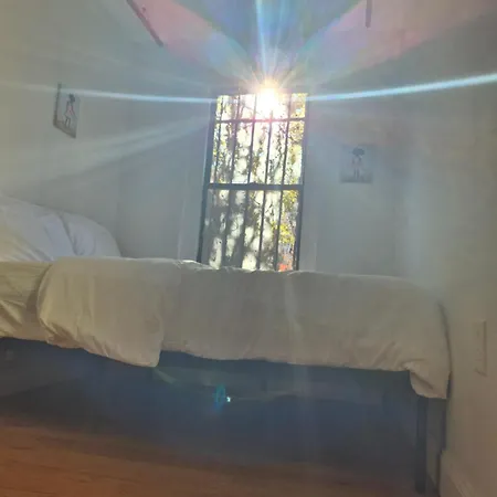 Apartment Relax And Unwind At Chic Bed-stuy Brownstone New York